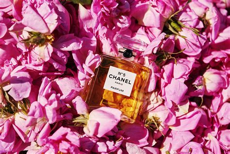 chanel flowers perfume|chanel 120 gold dipped roses.